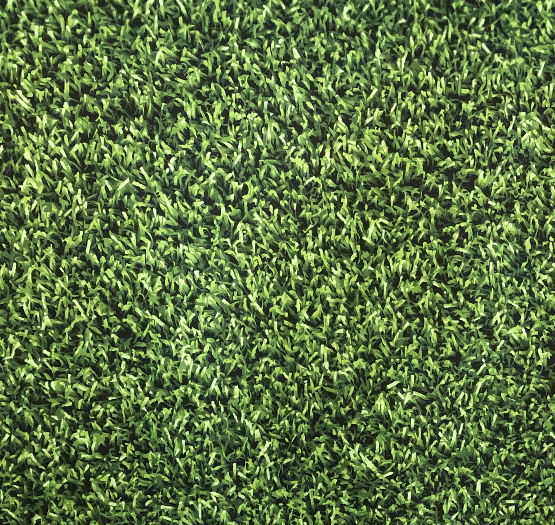 HedgeGrass backdrop