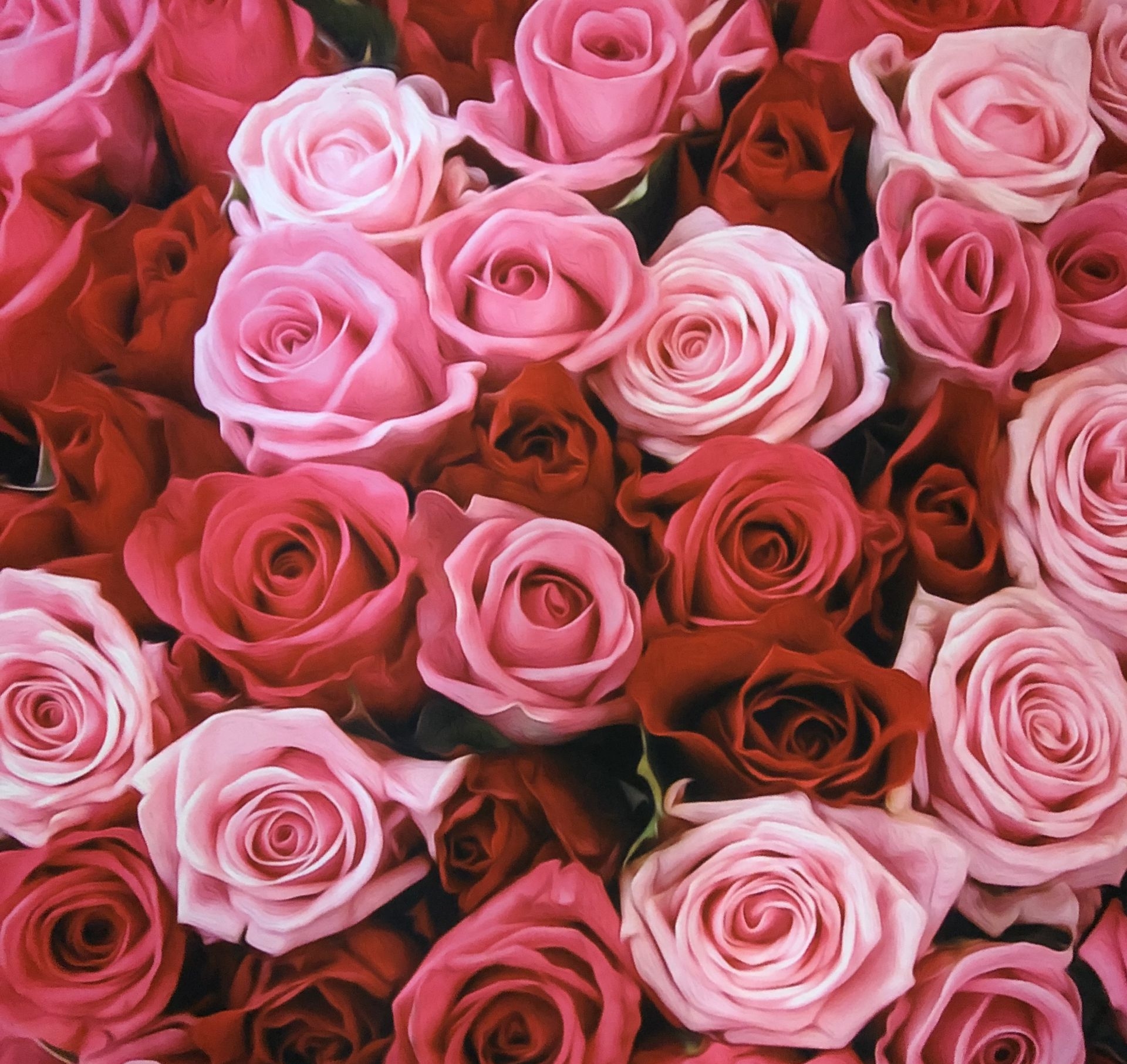 pink and red rose backdrop